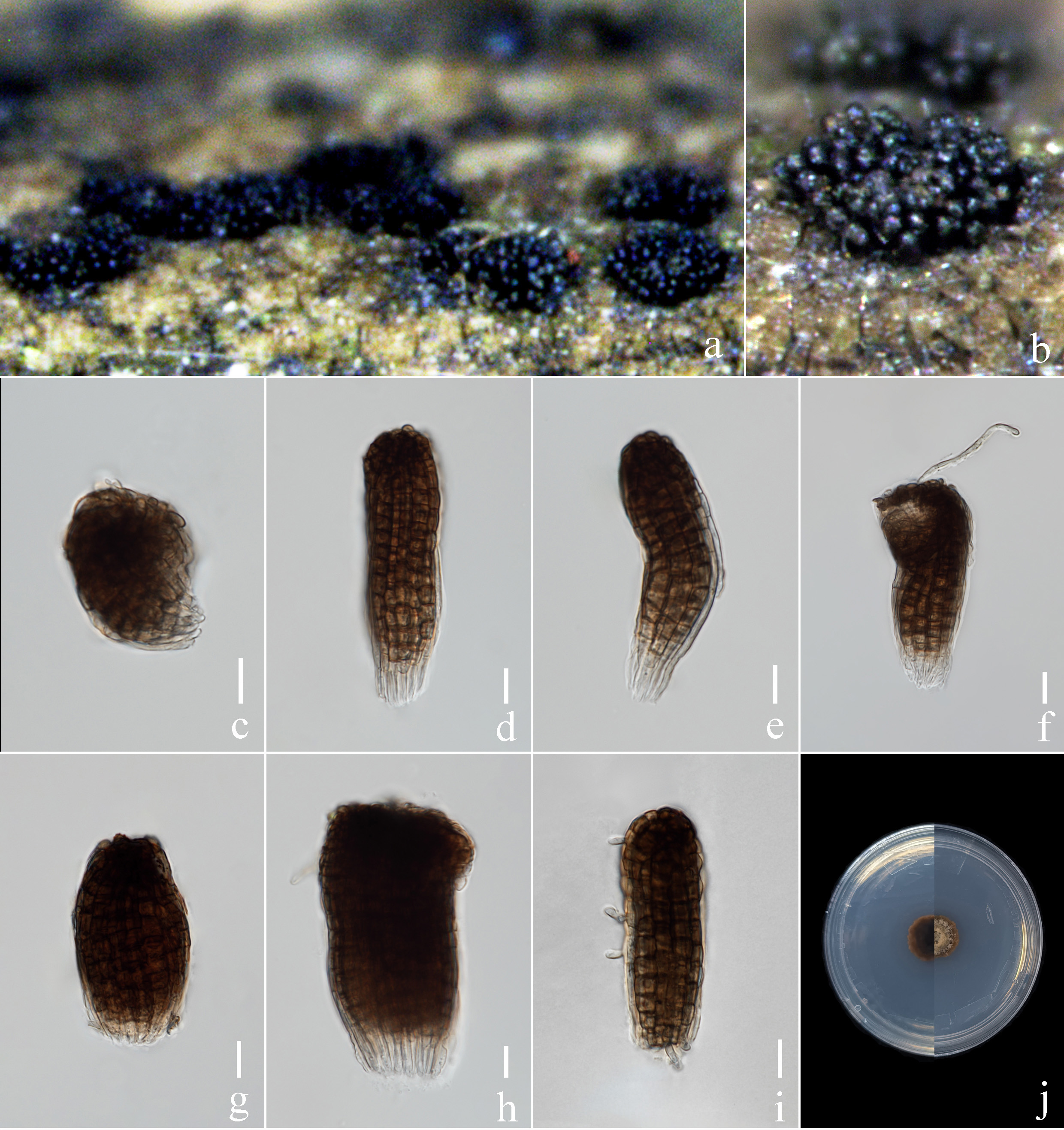 Figure 140